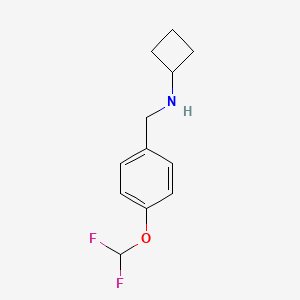 molecular formula C12H15F2NO B7861209 N-{[4-(Difluoromethoxy)phenyl]methyl}cyclobutanamine 