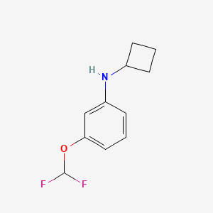 molecular formula C11H13F2NO B7861229 N-cyclobutyl-3-(difluoromethoxy)aniline 