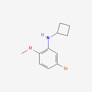 molecular formula C11H14BrNO B7861261 5-bromo-N-cyclobutyl-2-methoxyaniline 