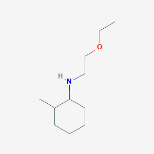 molecular formula C11H23NO B7862990 N-(2-ethoxyethyl)-2-methylcyclohexan-1-amine 