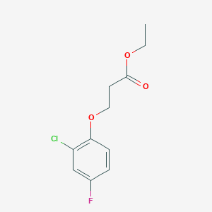 molecular formula C11H12ClFO3 B7863232 Ethyl 3-(2-chloro-4-fluoro-phenoxy)propanoate 
