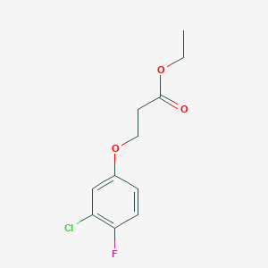 molecular formula C11H12ClFO3 B7863248 Ethyl 3-(3-chloro-4-fluoro-phenoxy)propanoate 
