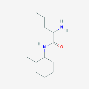 molecular formula C12H24N2O B7863353 2-amino-N-(2-methylcyclohexyl)pentanamide 
