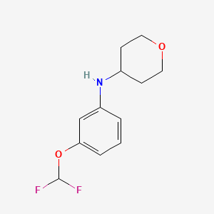 molecular formula C12H15F2NO2 B7863452 N-[3-(difluoromethoxy)phenyl]oxan-4-amine 