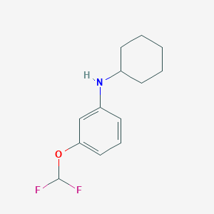 molecular formula C13H17F2NO B7863455 N-cyclohexyl-3-(difluoromethoxy)aniline 