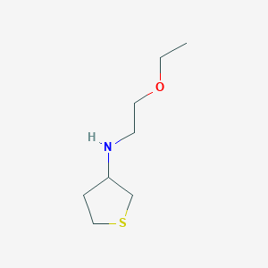 molecular formula C8H17NOS B7863842 N-(2-ethoxyethyl)thiolan-3-amine 