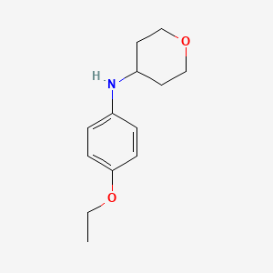 molecular formula C13H19NO2 B7863913 N-(4-Ethoxyphenyl)tetrahydro-2H-pyran-4-amine 