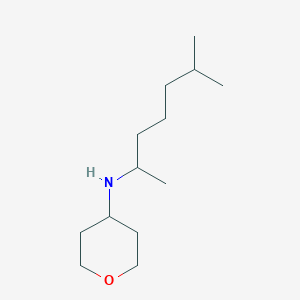 molecular formula C13H27NO B7863945 N-(6-Methylheptan-2-yl)tetrahydro-2H-pyran-4-amine 