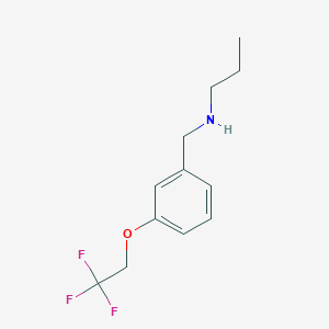 molecular formula C12H16F3NO B7865650 Propyl({[3-(2,2,2-trifluoroethoxy)phenyl]methyl})amine 