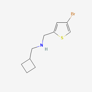 molecular formula C10H14BrNS B7865659 [(4-Bromothiophen-2-yl)methyl](cyclobutylmethyl)amine 