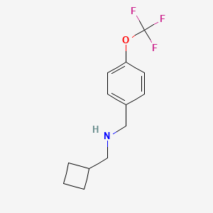 molecular formula C13H16F3NO B7865669 (Cyclobutylmethyl)({[4-(trifluoromethoxy)phenyl]methyl})amine 