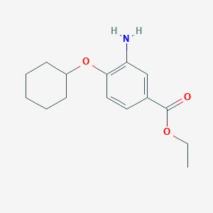 molecular formula C15H21NO3 B7866059 Ethyl 3-amino-4-(cyclohexyloxy)benzoate 