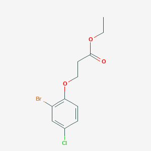 molecular formula C11H12BrClO3 B7867868 Ethyl 3-(2-bromo-4-chloro-phenoxy)propanoate 