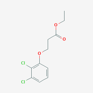 molecular formula C11H12Cl2O3 B7867887 Ethyl 3-(2,3-dichloro-phenoxy)propanoate 