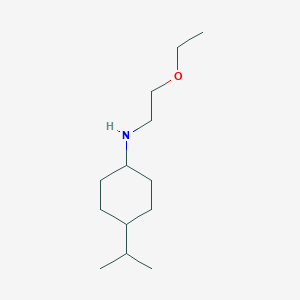molecular formula C13H27NO B7868035 N-(2-Ethoxyethyl)-4-(propan-2-yl)cyclohexan-1-amine 
