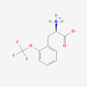 molecular formula C10H10F3NO3 B7868068 (2R)-2-azaniumyl-3-[2-(trifluoromethoxy)phenyl]propanoate 