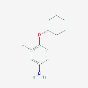 molecular formula C13H19NO B7868597 4-(Cyclohexyloxy)-3-methylaniline 
