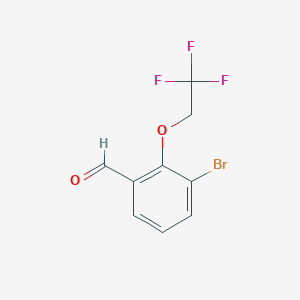 molecular formula C9H6BrF3O2 B7868926 3-Bromo-2-(2,2,2-trifluoro-ethoxy)-benzaldehyde 