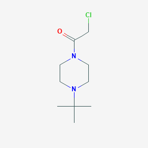 molecular formula C10H19ClN2O B7869126 1-(4-(tert-Butyl)piperazin-1-yl)-2-chloroethanone 