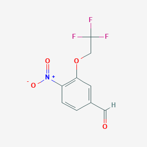 molecular formula C9H6F3NO4 B7869235 4-Nitro-3-(2,2,2-trifluoroethoxy)benzaldehyde 