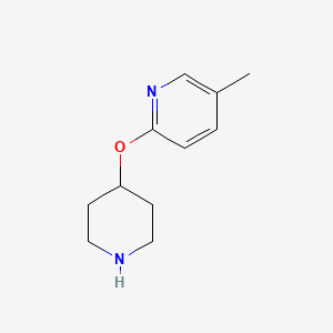 molecular formula C11H16N2O B7869494 5-Methyl-2-(piperidin-4-yloxy)pyridine 