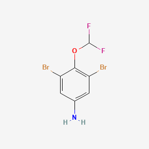 molecular formula C7H5Br2F2NO B7870297 3,5-Dibromo-4-(difluoromethoxy)aniline 