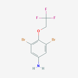 molecular formula C8H6Br2F3NO B7870302 3,5-Dibromo-4-(2,2,2-trifluoroethoxy)aniline 