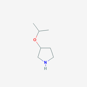 molecular formula C7H15NO B7870608 3-Isopropoxypyrrolidine 