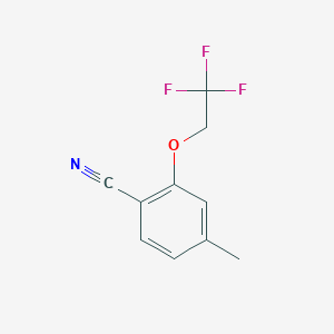 molecular formula C10H8F3NO B7871306 4-Methyl-2-(2,2,2-trifluoroethoxy)benzonitrile 