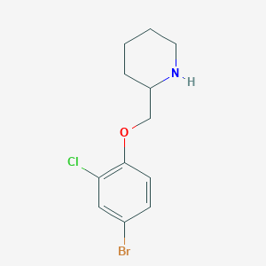 molecular formula C12H15BrClNO B7872862 2-(4-Bromo-2-chloro-phenoxymethyl)-piperidine 