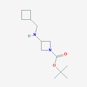 molecular formula C13H24N2O2 B7873758 tert-Butyl 3-[(cyclobutylmethyl)amino]azetidine-1-carboxylate 