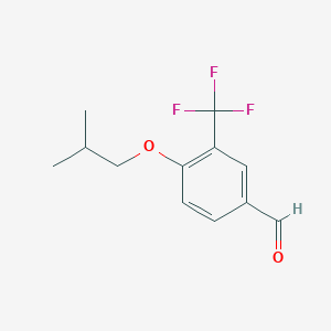 molecular formula C12H13F3O2 B7873782 4-(2-Methylpropoxy)-3-(trifluoromethyl)benzaldehyde 