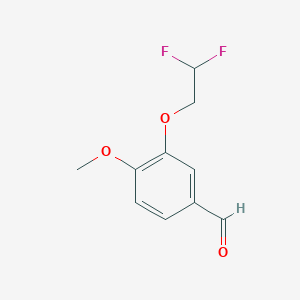 molecular formula C10H10F2O3 B7874104 3-(2,2-Difluoroethoxy)-4-methoxybenzaldehyde 