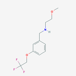 molecular formula C12H16F3NO2 B7874706 (2-Methoxyethyl)({[3-(2,2,2-trifluoroethoxy)phenyl]methyl})amine 