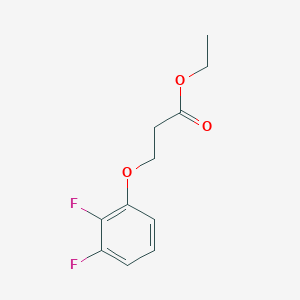 molecular formula C11H12F2O3 B7874739 Ethyl 3-(2,3-difluoro-phenoxy)propanoate 
