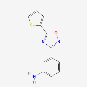 molecular formula C12H9N3OS B7876838 3-[5-(Thiophen-2-yl)-1,2,4-oxadiazol-3-yl]aniline 
