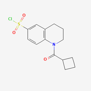 molecular formula C14H16ClNO3S B7877113 1-(Cyclobutylcarbonyl)-1,2,3,4-tetrahydroquinoline-6-sulfonyl chloride 