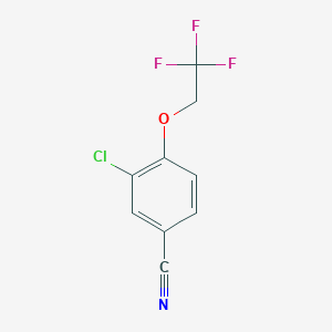 molecular formula C9H5ClF3NO B7877795 3-Chloro-4-(2,2,2-trifluoroethoxy)benzonitrile 