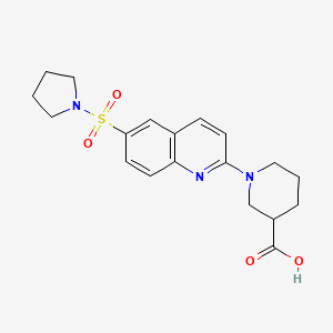 molecular formula C19H23N3O4S B7878411 1-[6-(Pyrrolidin-1-ylsulfonyl)quinolin-2-yl]piperidine-3-carboxylic acid 