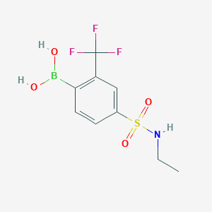 molecular formula C9H11BF3NO4S B7880417 4-(N-Ethylsulfamoyl)-2-trifluoromethylphenylboronic acid 