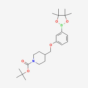 molecular formula C23H36BNO5 B7880429 tert-Butyl 4-[3-(4,4,5,5-tetramethyl[1,3,2]dioxaborolan-2-yl)phenoxymethyl]piperidine-1-carboxylate 