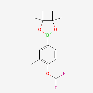 molecular formula C14H19BF2O3 B7881086 2-(4-(Difluoromethoxy)-3-methylphenyl)-4,4,5,5-tetramethyl-1,3,2-dioxaborolane 