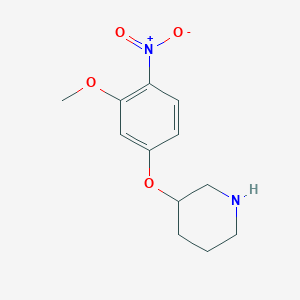 molecular formula C12H16N2O4 B7881099 3-(3-Methoxy-4-nitrophenoxy)piperidine 