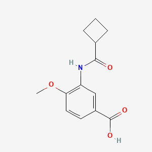 molecular formula C13H15NO4 B7881104 3-[(Cyclobutylcarbonyl)amino]-4-methoxybenzoic acid 