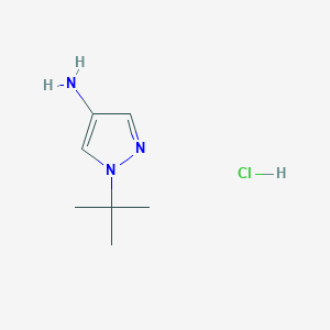 molecular formula C7H14ClN3 B7881853 1-tert-butyl-1H-pyrazol-4-amine hydrochloride 