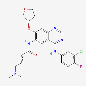 molecular formula C24H25ClFN5O3 B7882037 N-[4-[(3-chloro-4-fluorophenyl)amino]-7-[[(3S)-tetrahydro-3-furanyl]oxy]-6-quinazolinyl]-4-(dimethylamino)-2-Butenamide 
