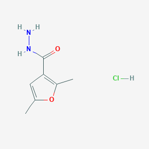 molecular formula C7H11ClN2O2 B7886100 2,5-Dimethyl-3-furohydrazide hydrochloride 