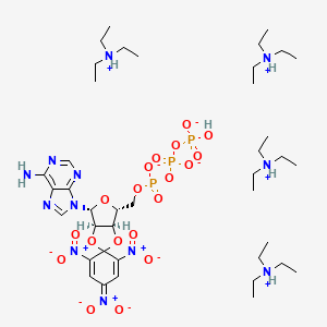 molecular formula C40H77N12O19P3 B7886644 2',3'-O-(2,4,6-三硝基苯基)腺苷5'-三磷酸单锂三钠盐 