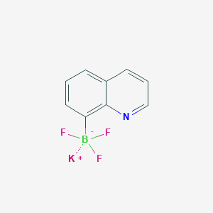 molecular formula C9H6BF3KN B7887980 Potassium quinoline-8-trifluoroborate 