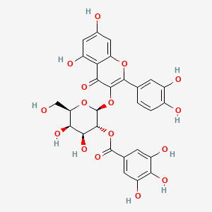 molecular formula C28H24O16 B7888170 2'-O-galloylhyperin CAS No. 56552-82-0